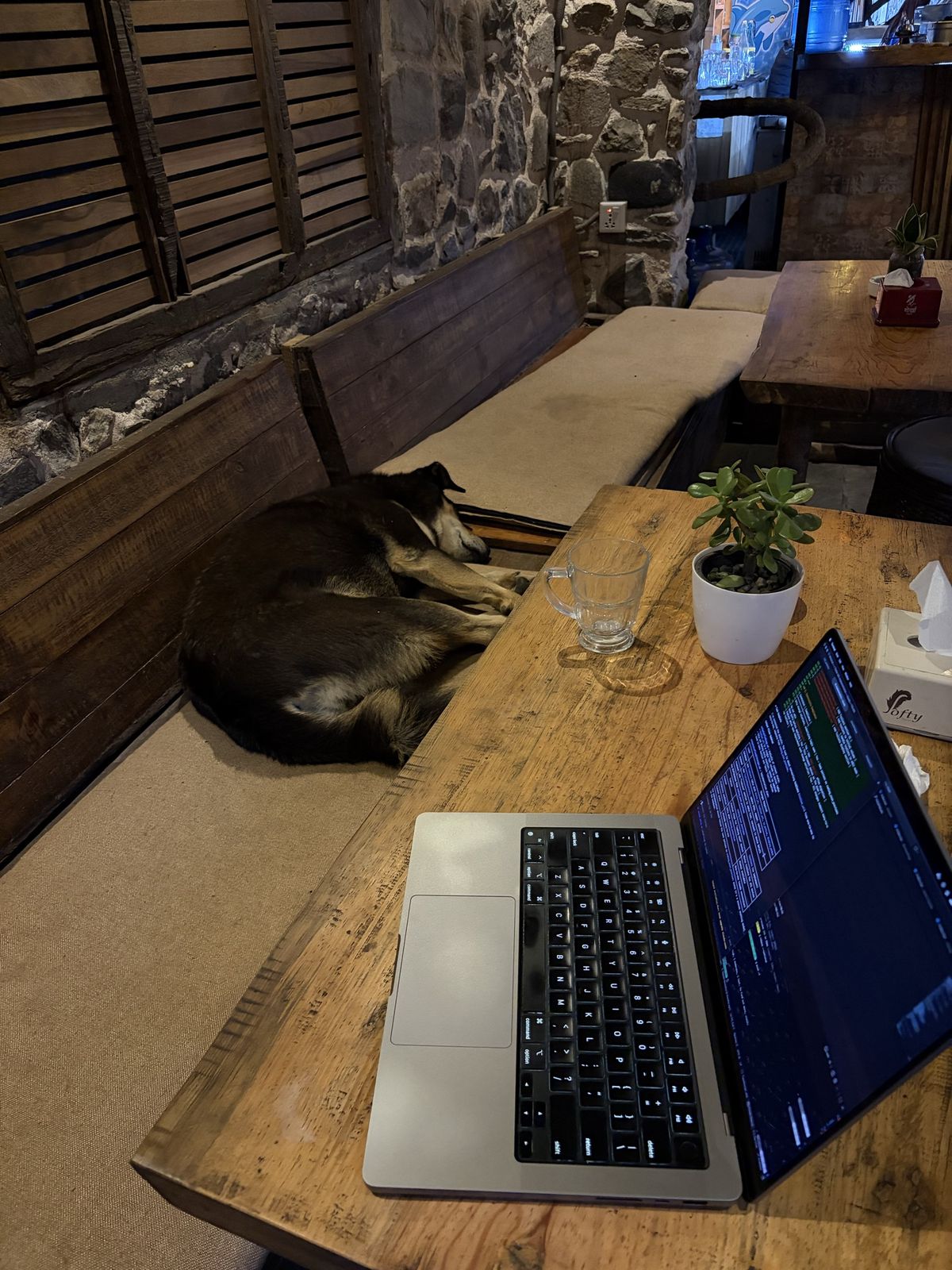 A dog asleep on a café bench right beside an open laptop on a wooden table