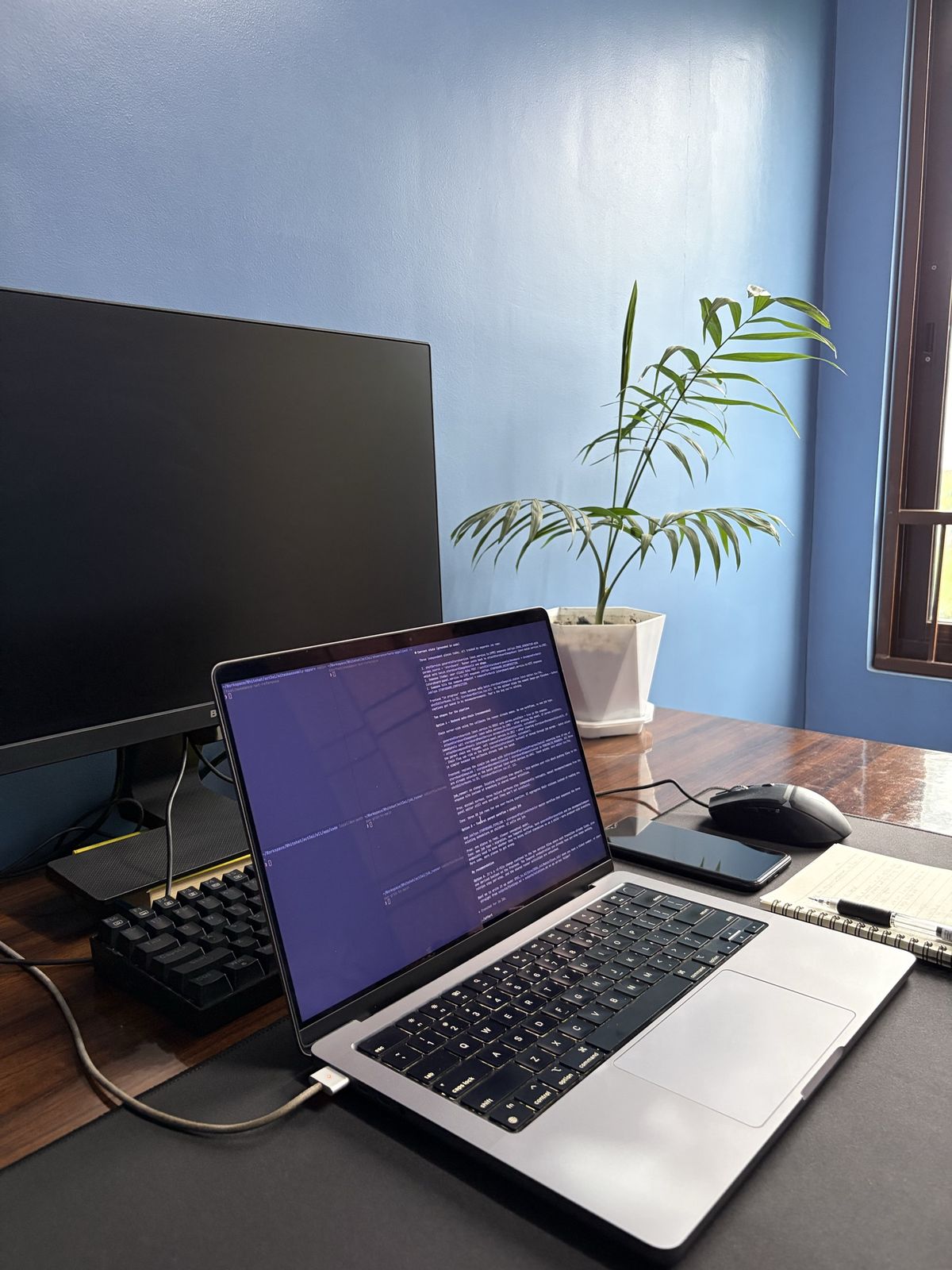 A MacBook and split keyboard on a wooden desk beside a window, against a blue wall with a potted palm